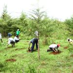 Info: The October 10th Holiday in Kenya