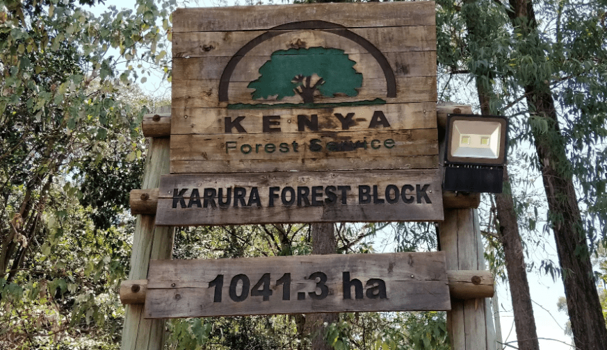 Cutting Down Trees From Karura Forest Is Normal, KFS Says