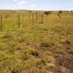 Procedure for Buying Land in Kenya