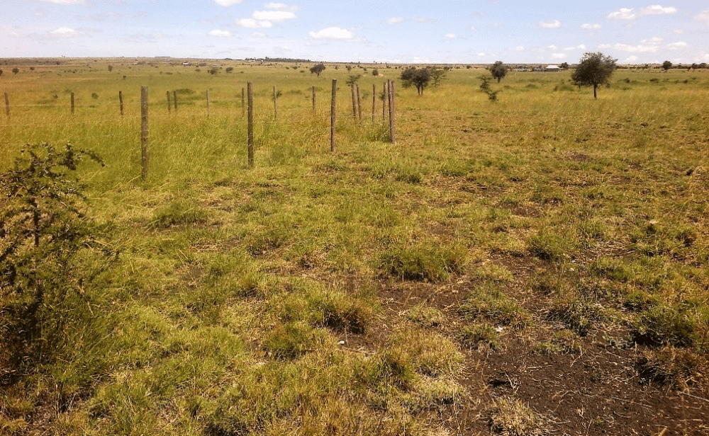 Procedure for Buying Land in Kenya
