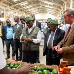 Kakuzi Avocado bonus