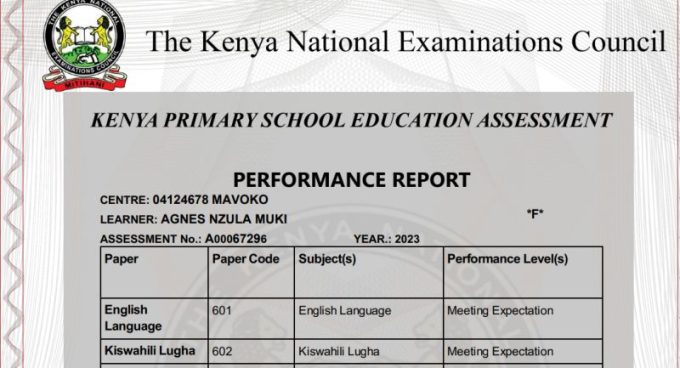 KNEC Has Released 2024 KPSEA Results. What to Understand About the Exams