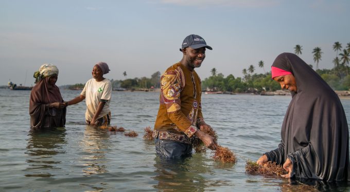 Innovations in Agribusiness: Seaweed Farming in Kenya