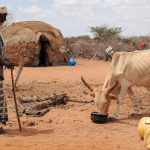 Drought situation in kenya