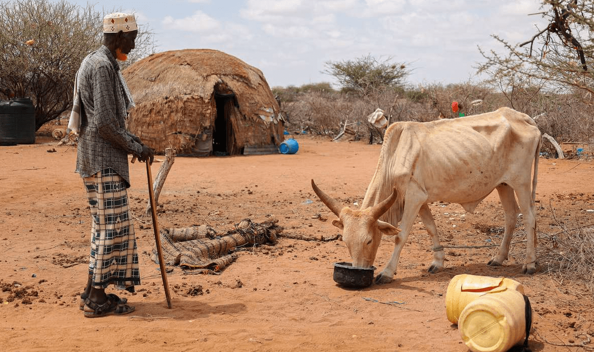 Drought situation in kenya