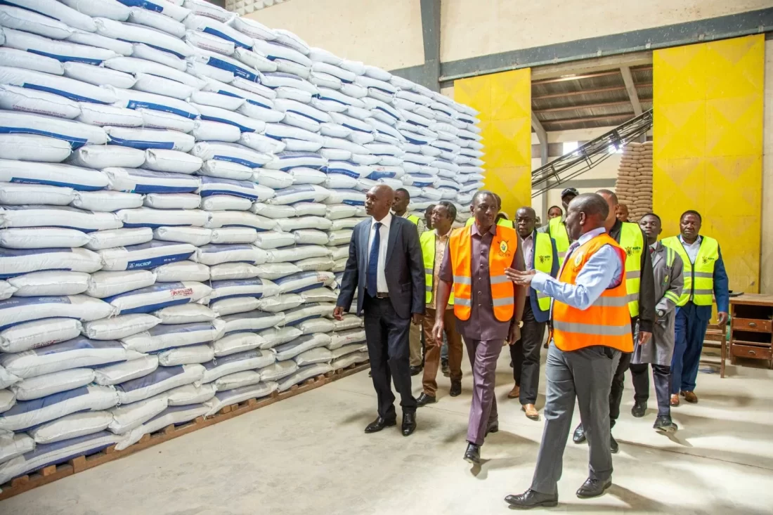 President William Ruto visits an NCPB store with subsidized fertiliser.