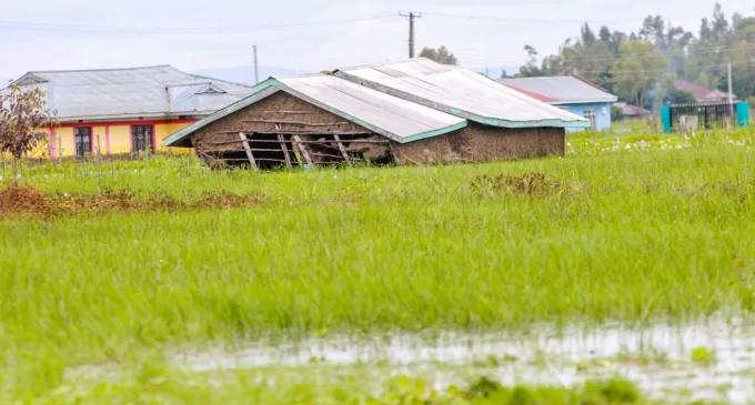 Data Driven Farming in Kenya