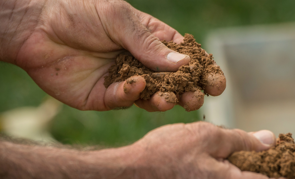 Global warming may trigger rapid release of soil carbon