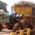 Nzoia Sugar Lease