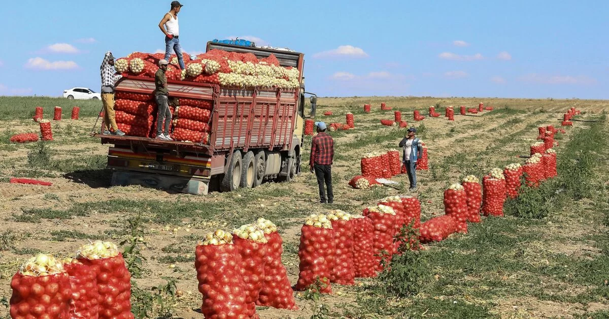 How to get different jobs in Turkey from Kenya