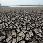 BII investments in Africa