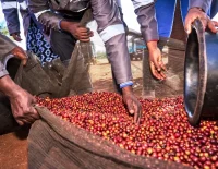 Eaagads net profit ups 132% to KSh 27.6m