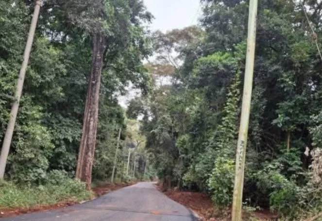Karura Forest Road