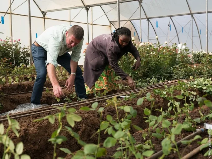 African Originals Uhuru Flowers Ltd