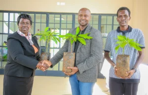James Maitai, Chief Technology Information Officer of Safaricom PLC, Nelius Wangui, a student from the UoN Kabete Campus; Professor Margaret Hutchinson, Acting Vice Chancellor of the University of Nairobi,and Professor Adelaide Lusambili of the Next Gen for Earth initiative, plant a seedling together. 