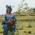 the late Professor Wangari Maathai