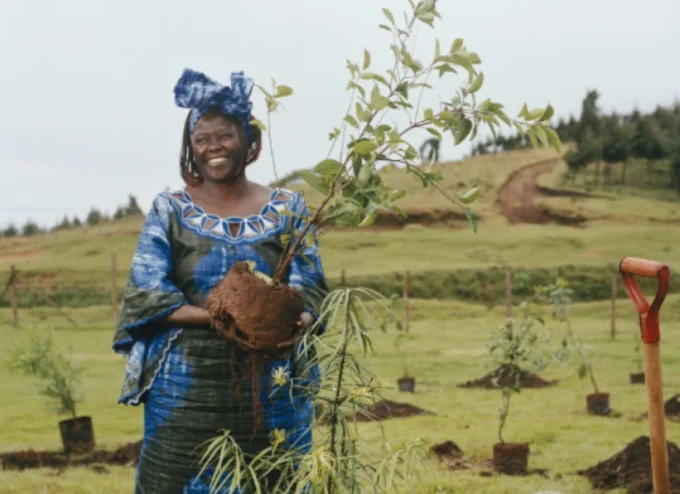 the late Professor Wangari Maathai
