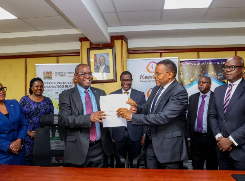 The company’s track record in geothermal, hydro, wind and solar energy gives it a strong base to manage the proposed nuclear plant