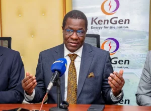 Energy Cabinet Secretary Opiyo Wandayi