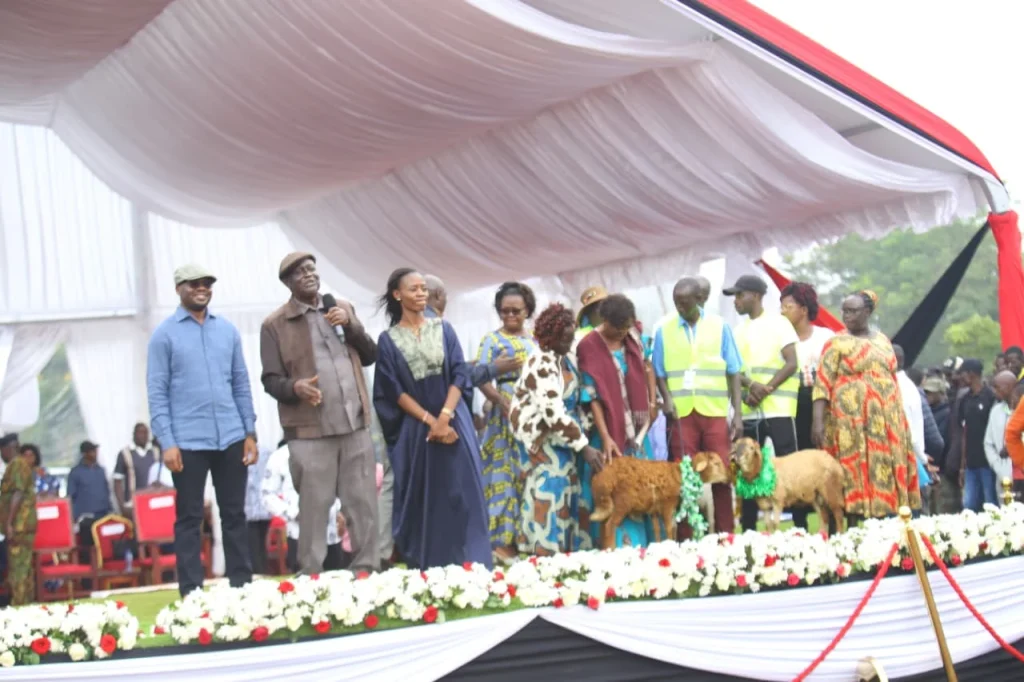 Widows Empowerment Program Widows Empowerment Program