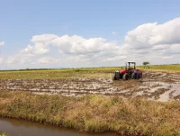 Rice field. PHOTO/@CS_MoALD/X