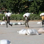 Locals carry rice from the Mwea Rice Growers Multipurpose Co-operative Society after the government confirmed it had paid up for all locally produced rice.