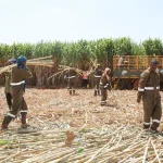 Bura Irrigation Scheme