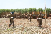 Bura Irrigation Scheme