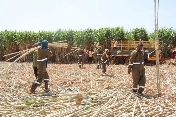 Bura Irrigation Scheme