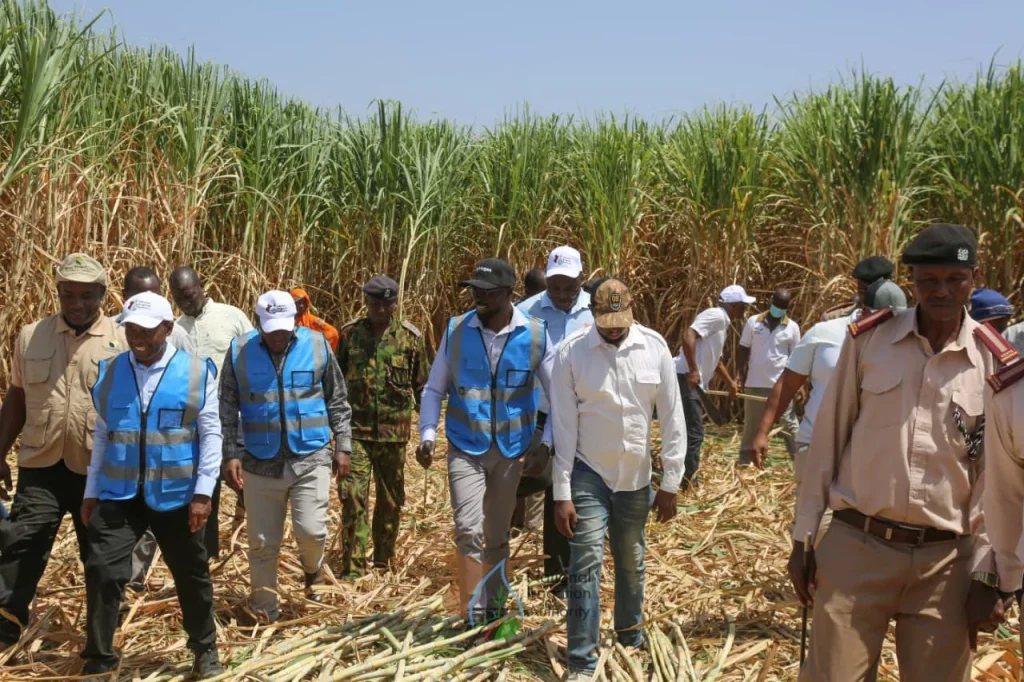 Eric Mugaa Eric Mugaa