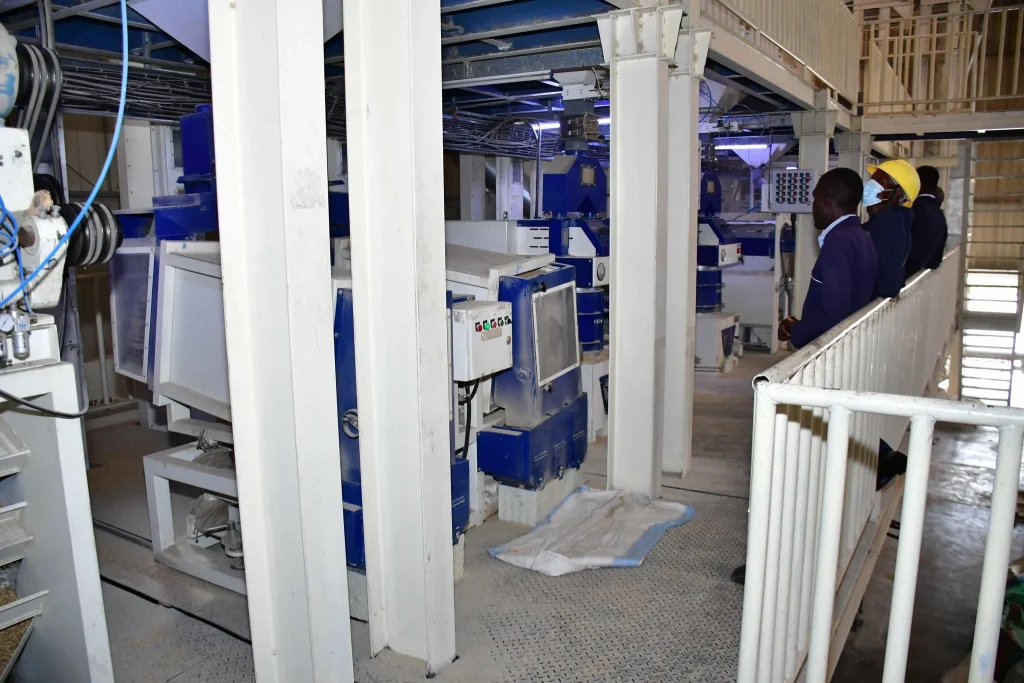 Inside the Rice Mill Plant