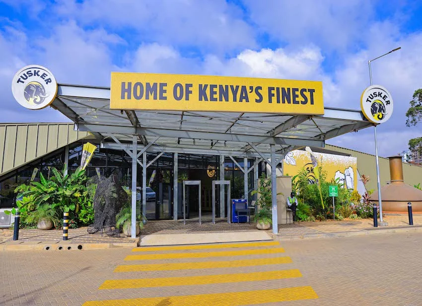 Tusker lager young lions kenya Day 1