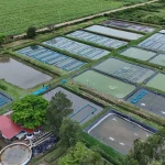 Kibos Aquaculture Centre