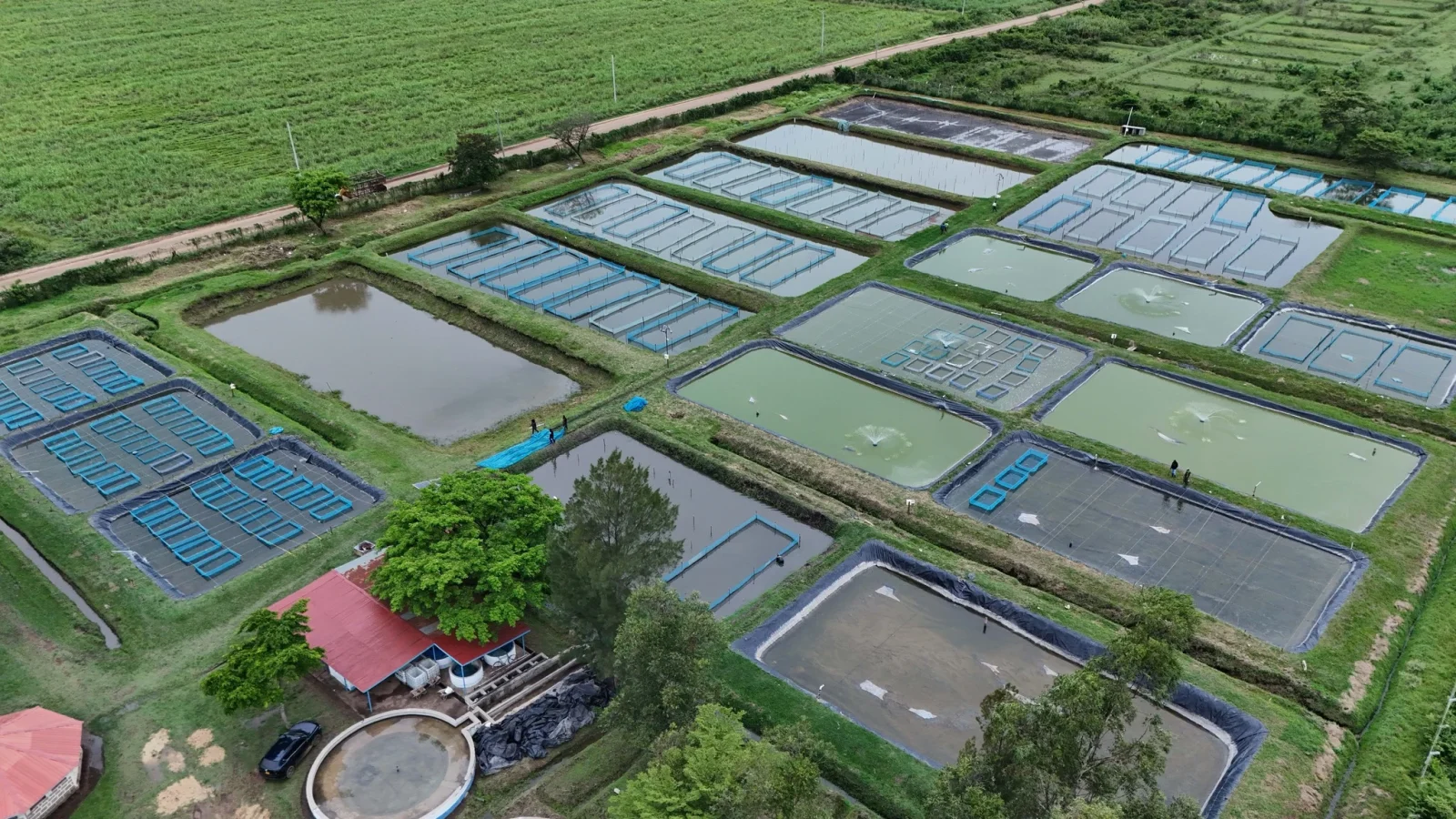 Kibos Aquaculture Centre