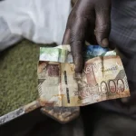 Person holding Kenyan bank notes