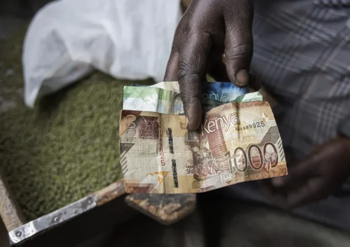 Person holding Kenyan bank notes