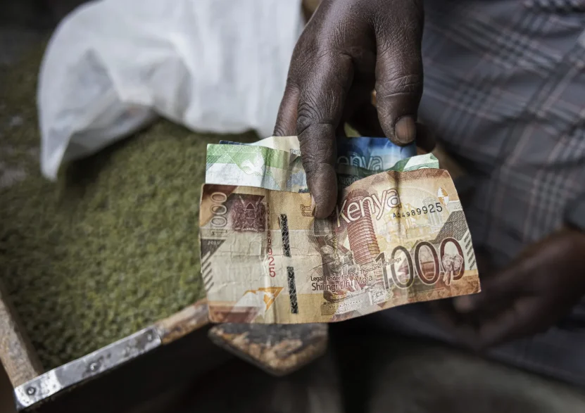Person holding Kenyan bank notes