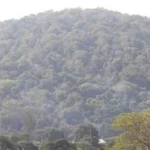 The renewed push to develop Mrima Hill is already stirring tension on the ground.