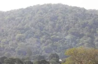 The renewed push to develop Mrima Hill is already stirring tension on the ground.