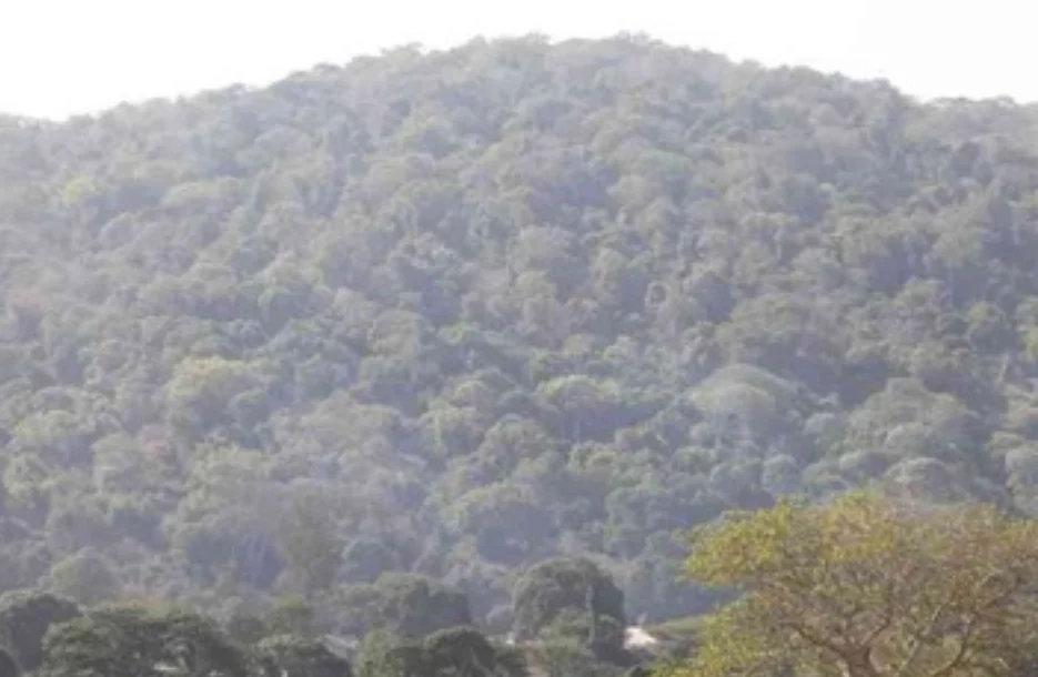 The renewed push to develop Mrima Hill is already stirring tension on the ground.