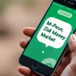 Ziidi Money Market Fund on phone