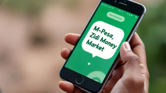 Ziidi Money Market Fund on phone