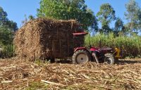 sugar millers hit by fuel shortage