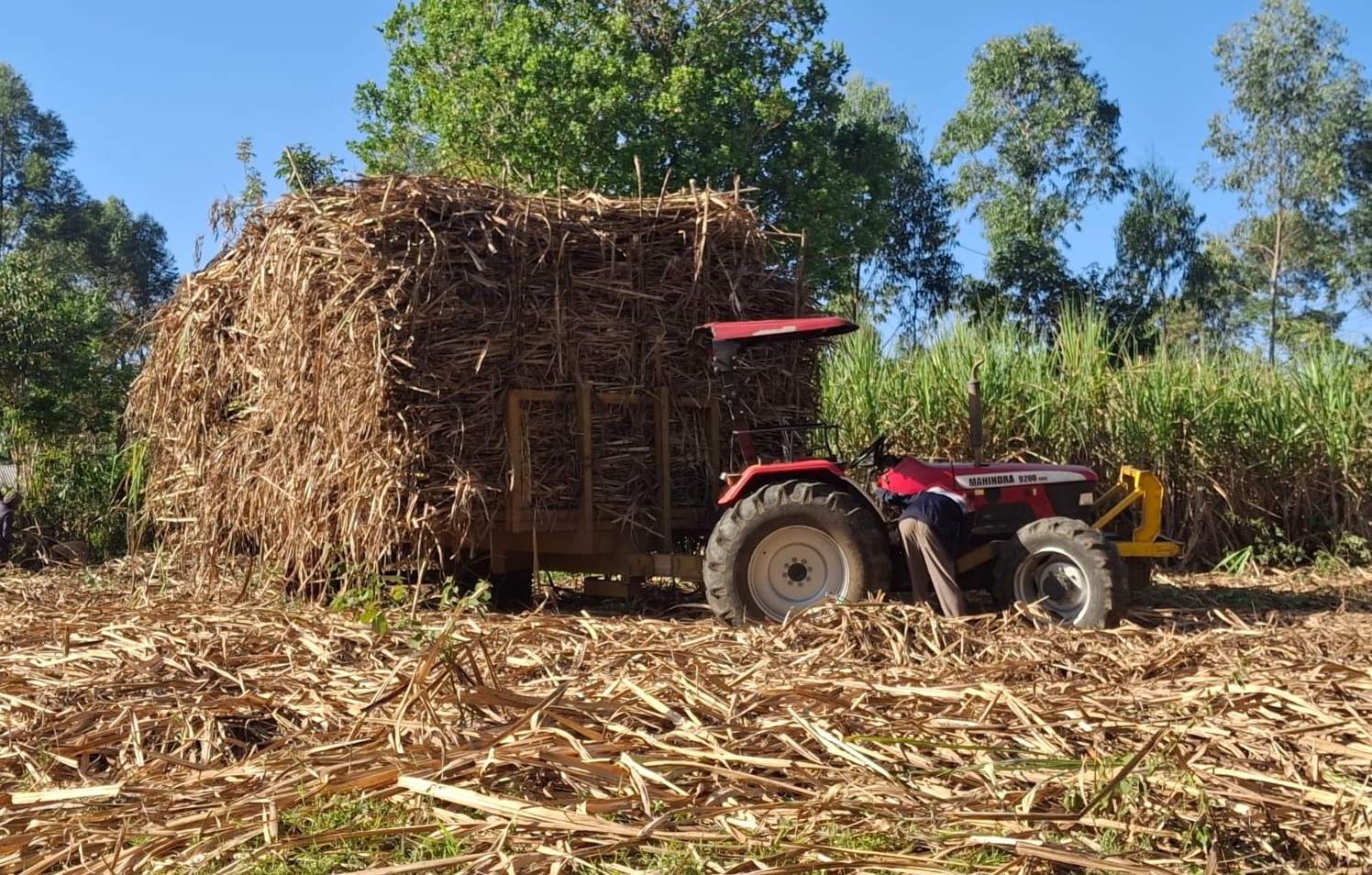 sugar millers hit by fuel shortage