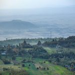 Earthbanc tree planting in Kenya