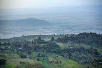 Earthbanc tree planting in Kenya