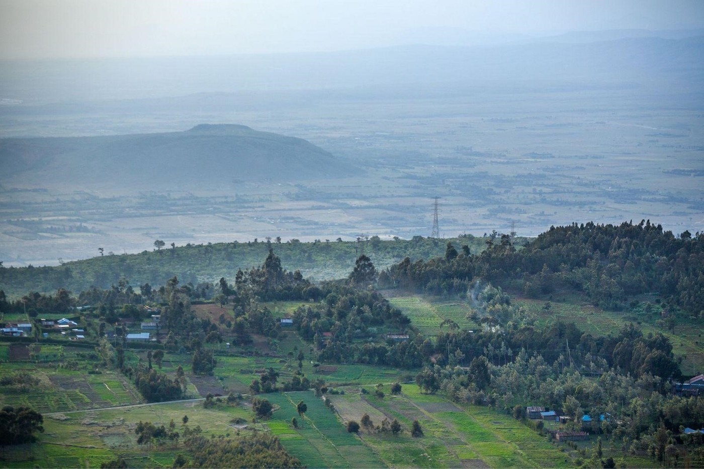 Earthbanc tree planting in Kenya