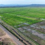 Lower Kuja Irrigation Scheme