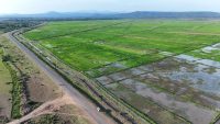 Lower Kuja Irrigation Scheme