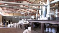 Rice in wharehouses